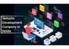 Hire Professional Best Website Development Company in Noida