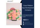 Cross Platform App Development Company | Conquerors Tech