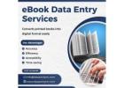 Best eBook Data Entry Services in India