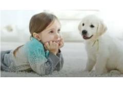 Top-Rated Carpet Cleaning in Adelaide Hills | 0412184687 Top-Rated Carpet Cleaning in Adelaide Hills | 0412184687