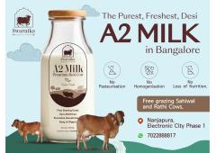 Pure Desi cow milk in electronic city Bangalore Pure Desi cow milk in electronic city Bangalore