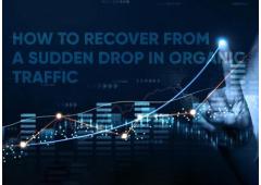 How to Recover from a Sudden Drop in Organic Traffic How to Recover from a Sudden Drop in Organic Traffic
