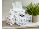 facial tissue wholesaler