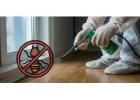 Reliable Termite Pest Control Services for Homes & Offices