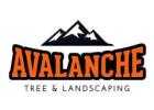 Avalanche Tree and Landscaping LLC