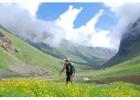 Explore Spiti Valley with Thrilling Snow Leopard Tours