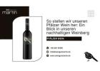 So stellen wir unseren Pfälzer Wein her: Ein Blick in unseren nachhaltigen Weinberg