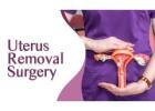 Uterus Removal Surgery In Bangalore | Worldofurology