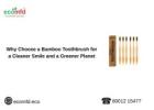 Why Choose a Bamboo Toothbrush for a Cleaner Smile and a Greener Planet ?