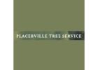 Placerville Tree Service