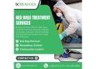 Bed Bug Removal Service in Ottawa
