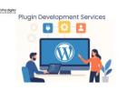 Leading Plugin Development Company for WordPress