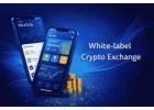 White Label Crypto Exchange