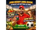 Win Big with Live Betting on Reddy Anna Book