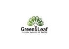 Pure Essential Oils Online Australia | Green Leaf Oil