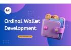 Launch Your Bitcoin Ordinals Wallet Idea with Hashcodex Experts