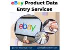 Best eBay Product Data Entry Services in India