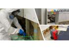 Mold Removal Melbourne Services You Can Rely On?