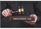 Experienced Labour Lawyer Toronto for Workplace Legal Support