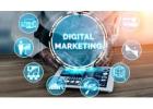 Digital Marketing Solution  | IIS INDIA