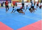 Affordable Price Kho Kho Mats in Delhi