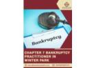 Chapter 7 Bankruptcy Practitioner in