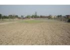 Affordable Residential Plot Available In Basai Enclave Gurgaon