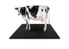 Buy Online Cow Mats at the Best Price | Gravolite