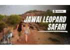 Jawai Leopard Safari