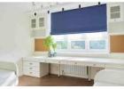 Elegant Custom Roman Blinds Adelaide for Modern Homes
