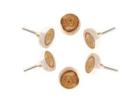 Buy Wooden Knobs- Best for Wardrobes and Drawers – Perilla Home