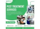Reliable Pest Treatment Services Ottawa