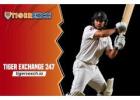 Tiger Exchange 247: Using the Tiger Exchange ID to play cricket