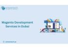 Professional Magento Development Services in Dubai for Custom Store Development