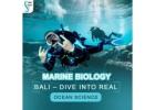 Marine Biology Bali – Dive into Real Ocean Science