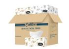 Buy Facial Tissues Melbourne in a Pack of 180 Wipes
