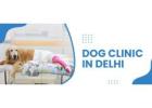 Dog Clinic In Delhi  | CGS Hospital