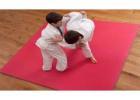 Premium Quality Martial Arts Mats | Gravolite