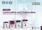 Lamivudine and Zidovudine Products Manufacturer in India