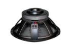 High Power 12 Inch Ferrite DJ Speaker For Events