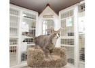 Happy Hounds Pet Retreat Comprehensive Cat Boarding Prices in Maine