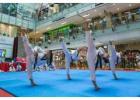 Kids Taekwondo Program Singapore with Fun & Discipline for Children