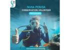 Nusa Penida conservation volunteer programs