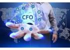 How a Virtual CFO Supports Smart Decision-Making in Small Businesses