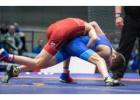 Super Quality Wrestling Mat at Best Price | Gravolite