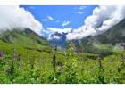 Valley of Flowers From Haridwar