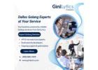 Expert Golang Web App Development Dallas – GiniLytics
