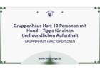 Gruppenhaus Harz 10 Personen mit Hund – Tipps für einen tierfreundlichen Aufenthalt