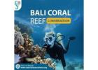 Bali Coral Reef Conservation