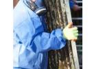 Asbestos Removal Sydney